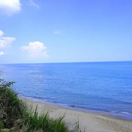 Apartment Byala Cliff Sea View